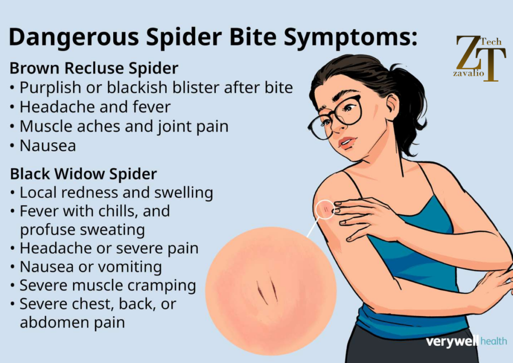 Spider Bites Pictures